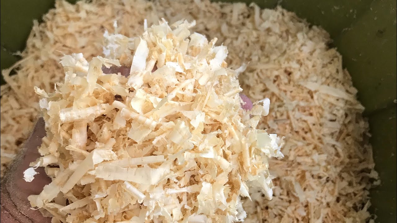 Planning a Retail Farm Supply Business - Pine Shavings