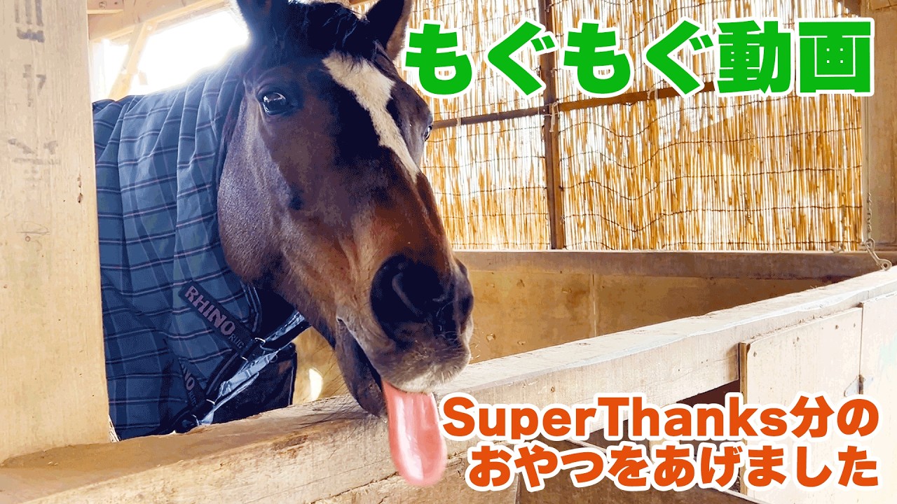 【もぐもぐ動画】視聴者さんからおやつをもらいました【super thanksお礼】