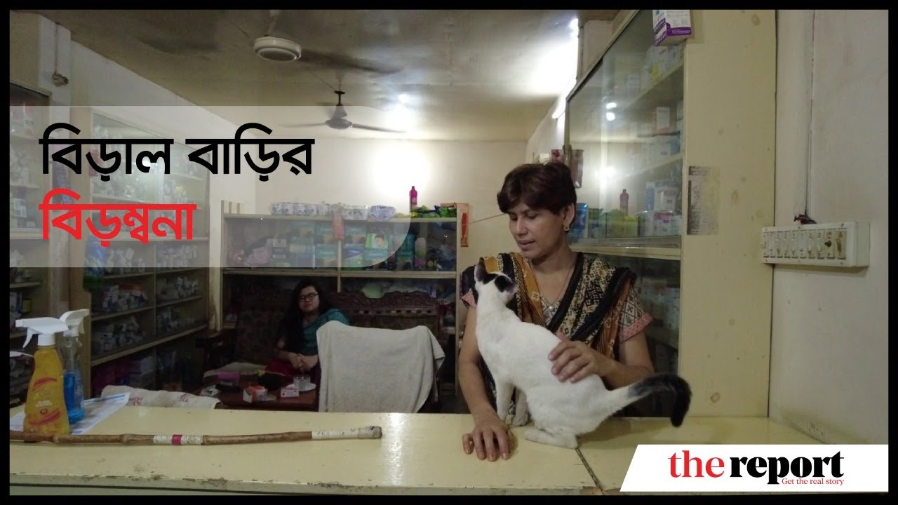 ৬২ টি বিড়াল কুকুর নিয়ে বেশ বিড়ম্বনাতেই আছেন সাবিনা রহমানের পরিবার