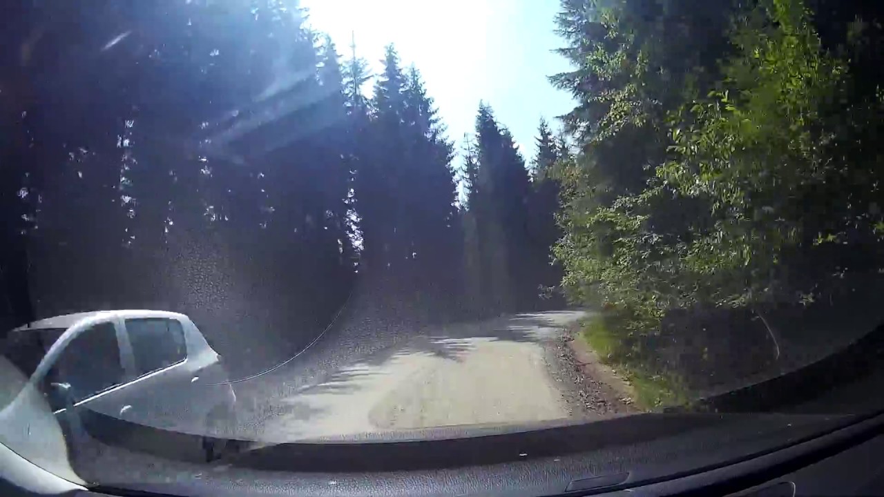 Video, drumul forestier de la Barajul Oasa, Luncile Prigoanei, Poarta Raiului