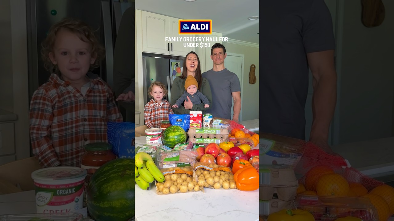 Under $150 Aldi Grocery Haul  💸  