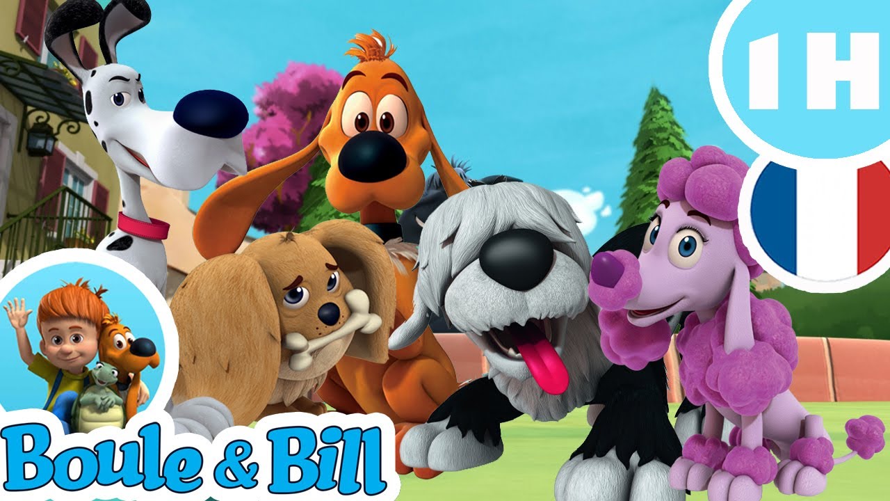 🐕Les amis de Bill!🐕 - Nouvelle Compilation FR