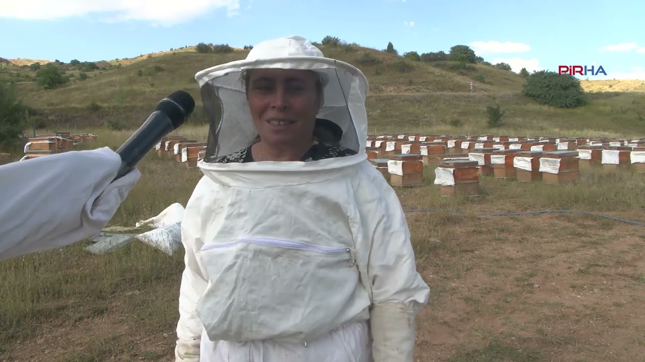 Zara’da arıcılık yapan tek kadın üretici Naciye Erkan: Sahte bal nedeniyle ürünümüz satılmıyor-VİDEO