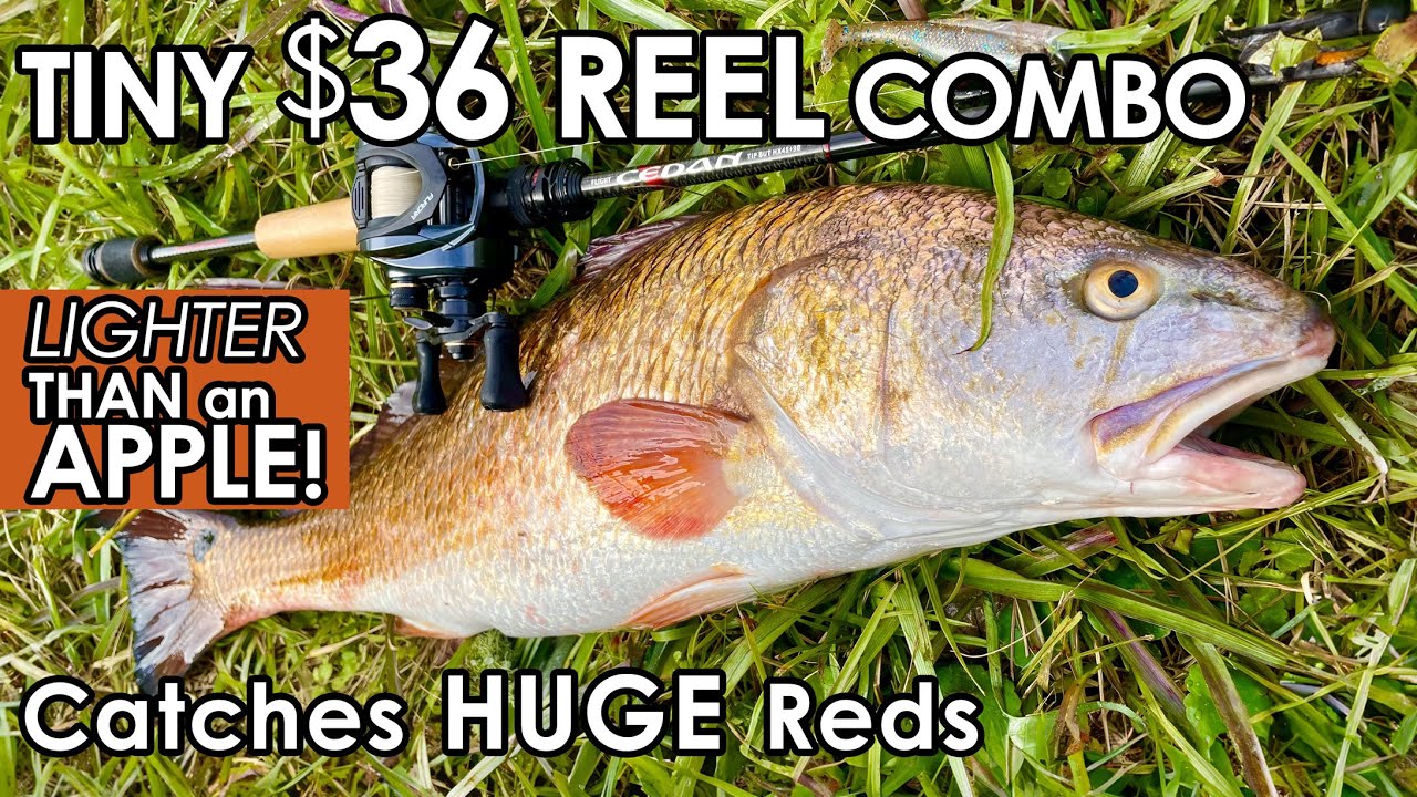 HUGE REDFISH vs ULTRALight BFS Rod/Reel  INSHORE, Garmin LiveScope Saltwater Fishing Jacksonville FL