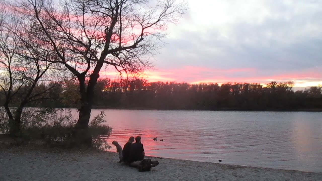 BACH J.S. In f minor, choral prelude.И.С.Бах. Хоральная прелюдия фа минор. Я взываю к Тебе, Господи.