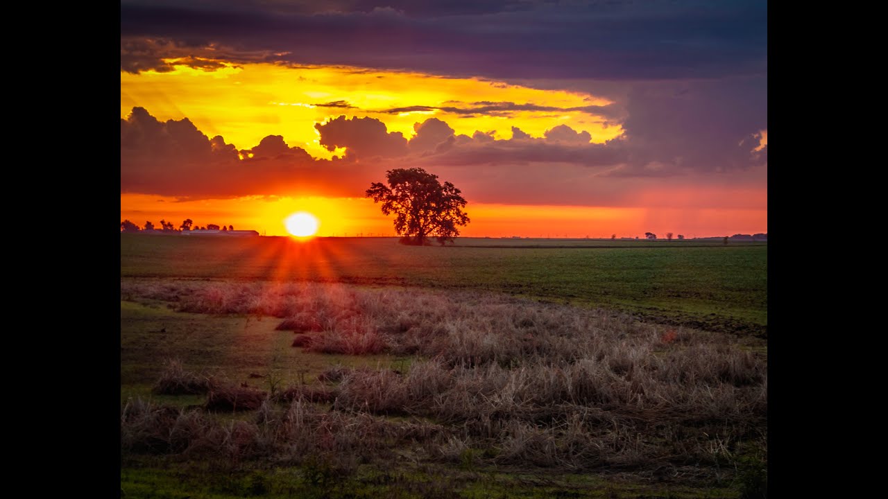 The Prairie Is My Garden October 2023