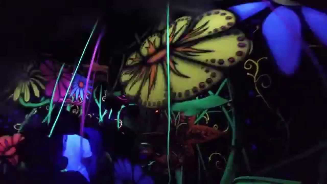 HHN 25 Asylum in Wonderland 3D - full walkthrough... works with Chromadepth  (HHN 3D) glasses!