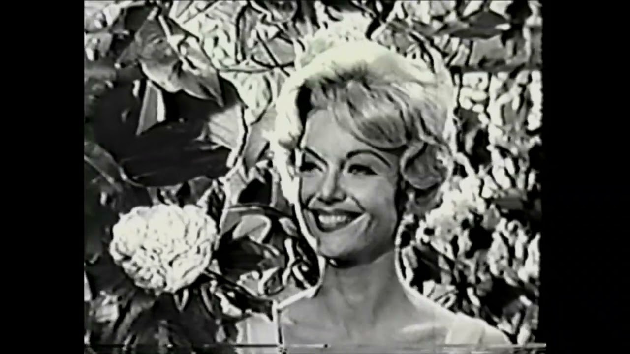Compilation of Cigarette Commercials from the 1950s-1960s Rare Collection