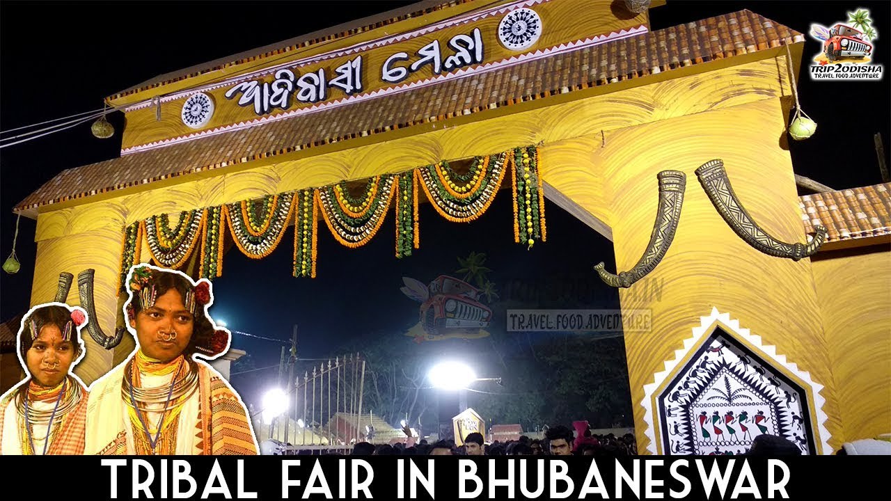 Adivasi mela in Bhubaneswar | Tribal fair | Culture of odisha