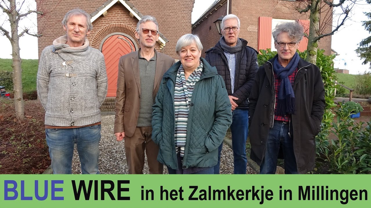 Optreden Belgische formatie Blue Wire op het Zalmpodium