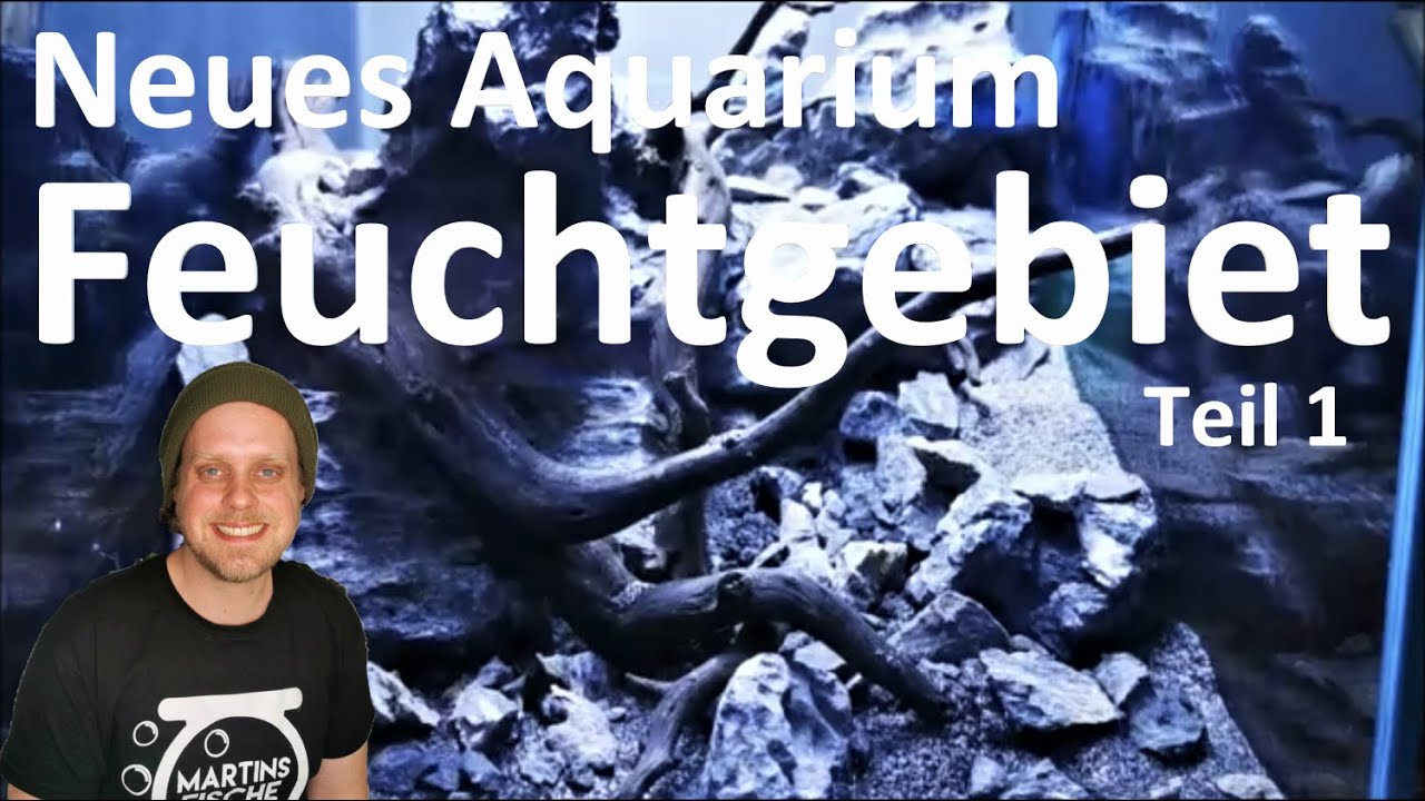 FEUCHTGEBIET - NEUES AQUARIUM im Fischraum! Die Einrichtung und DIY Bodenfilter!
