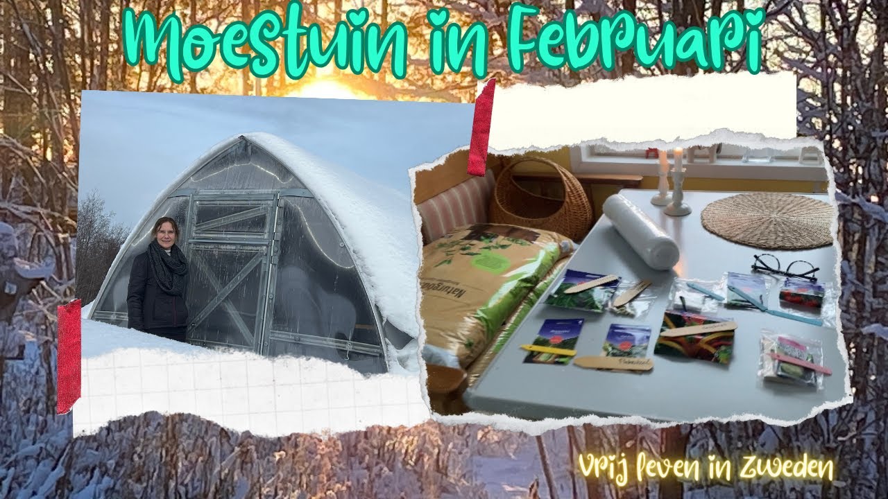 Moestuin in februari - Zweden