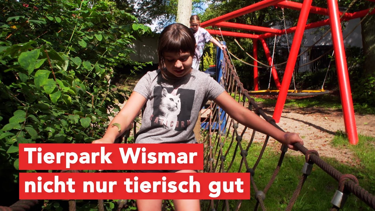 Tierpark Wismar – nicht nur tierisch gut