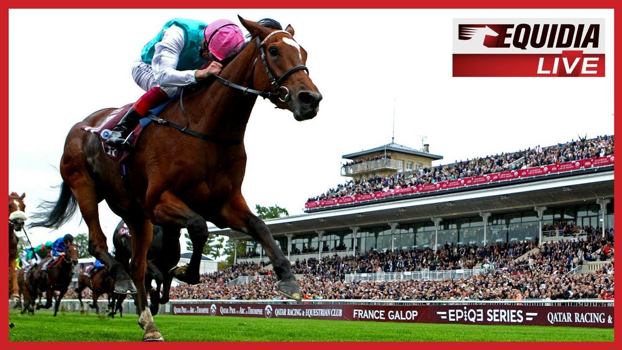 Enable remporte le Qatar Prix de l'Arc de Triomphe 2017 !