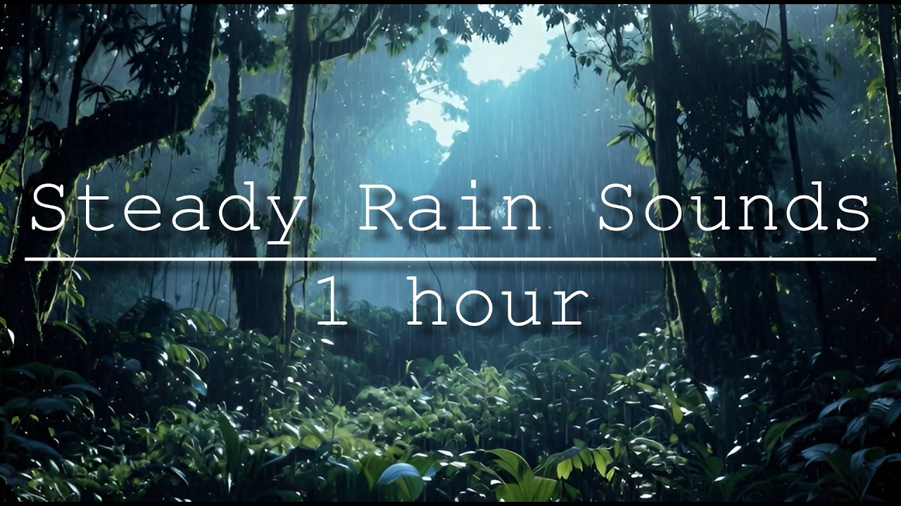 STEADY RAINFOREST RAIN SOUNDS FOR SLEEP | 1 HOUR