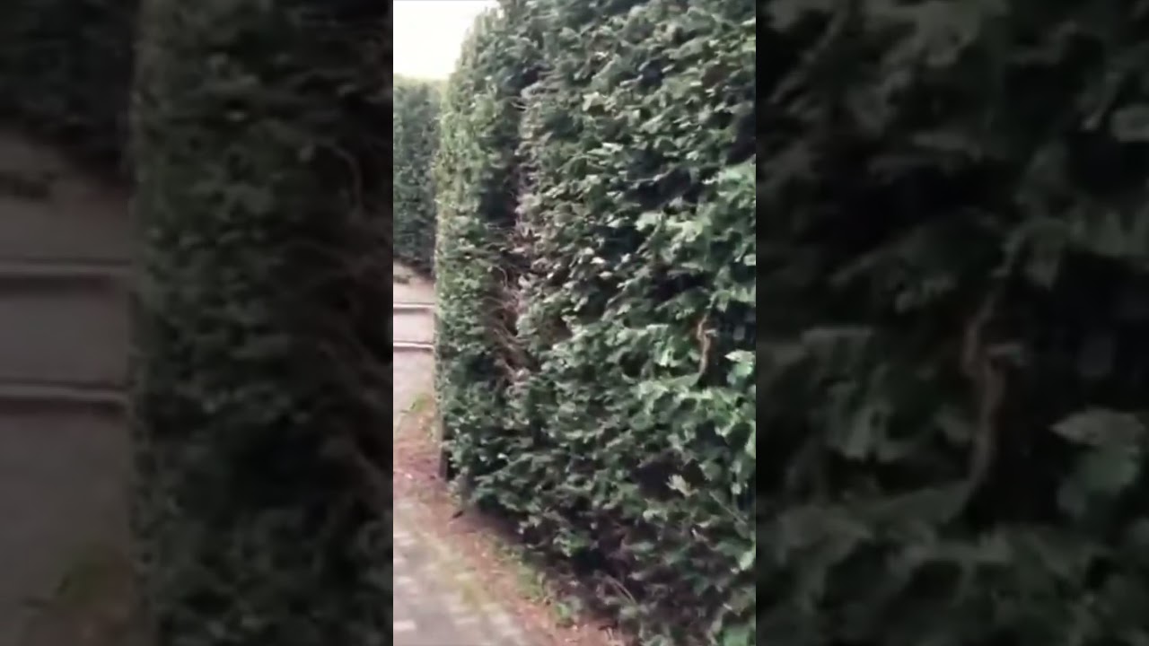 Park&uuml;berblick - Landal GreenParks Het Vennenbos