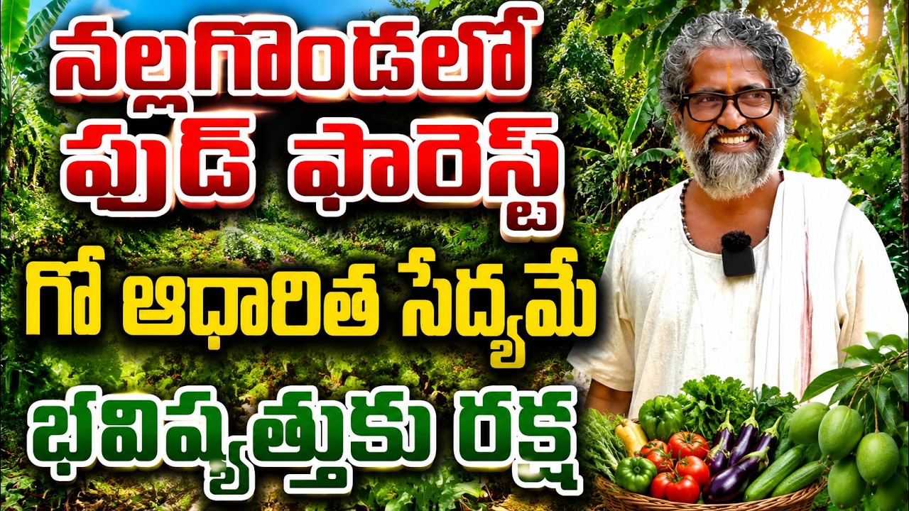 నల్లగొండలో ఫుడ్ ఫారెస్ట్ | vijayaram farm visit | bhumiputhra telugu