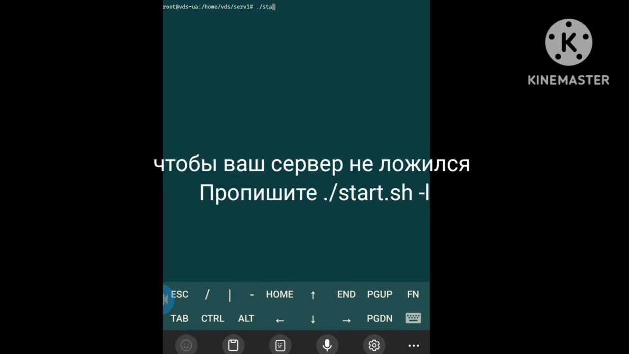 як користуватися screen, cd, ls частина 2