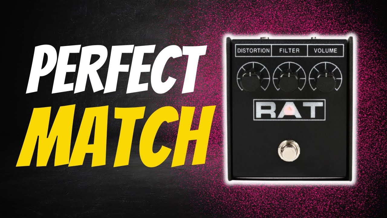 Vox AC15 с ProCo Rat 2 &ndash; почему это сочетание просто работает