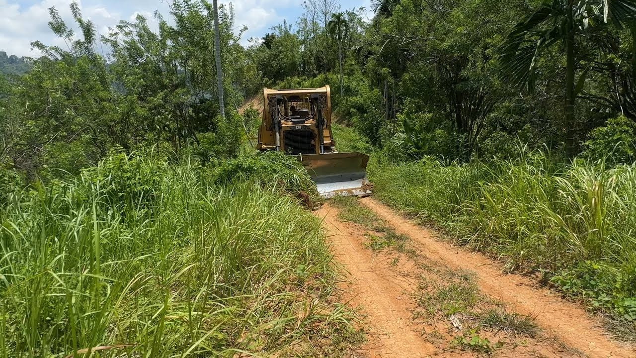 Stressful! Caterpillar D6R XL Bulldozer Builds Rocky Road Over Mountain