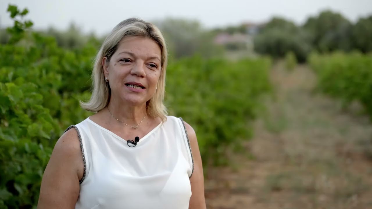 Wines of Greece: Attiki