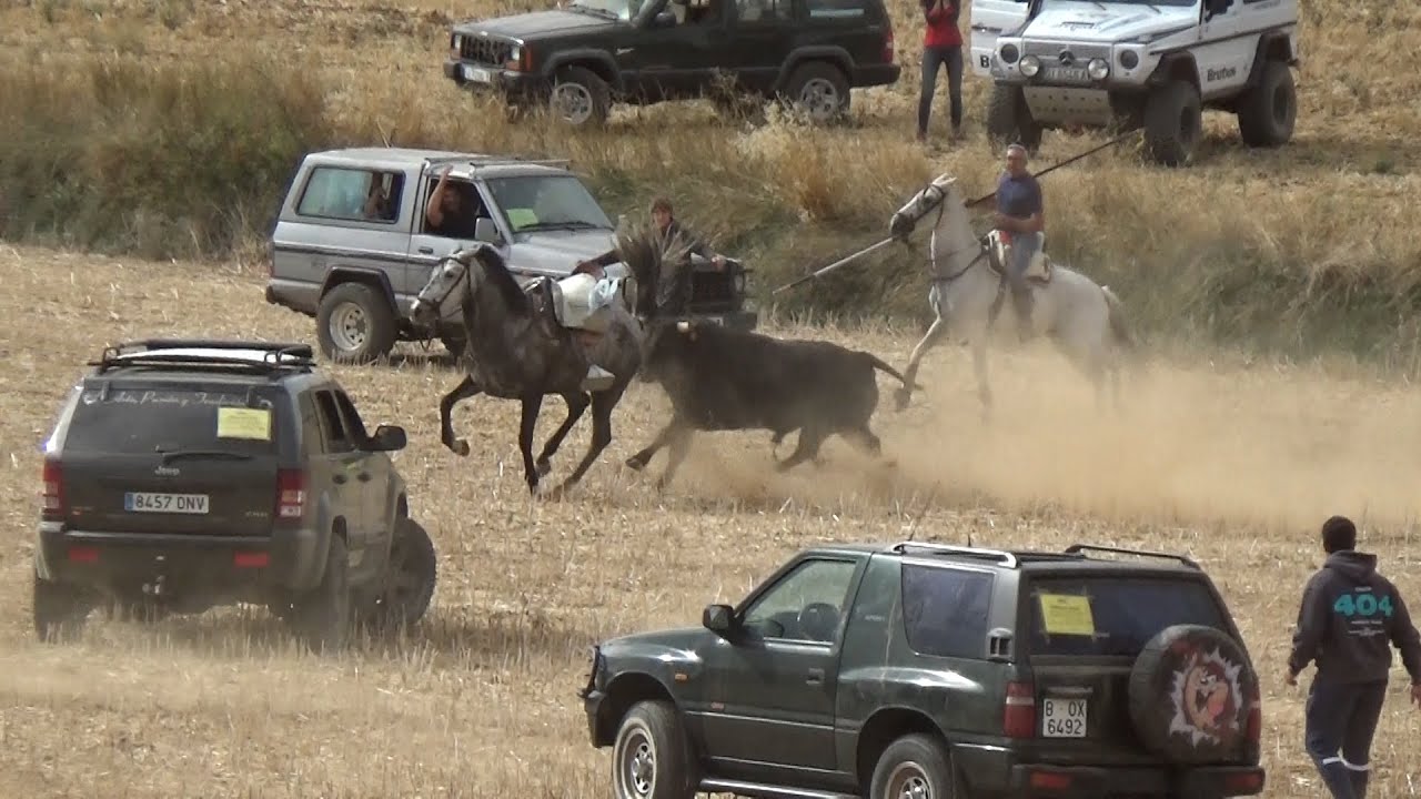 Cuidado con los Caballos Heras de Ayuso 28 - 09 - 2025 (guadalajara)  GuadaEncierros