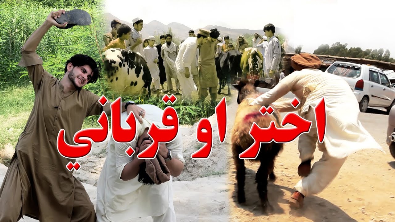 Eid Ul Adha In Afghanistan By Kabul Vines 2020 | New Pashto Funny Video 2020