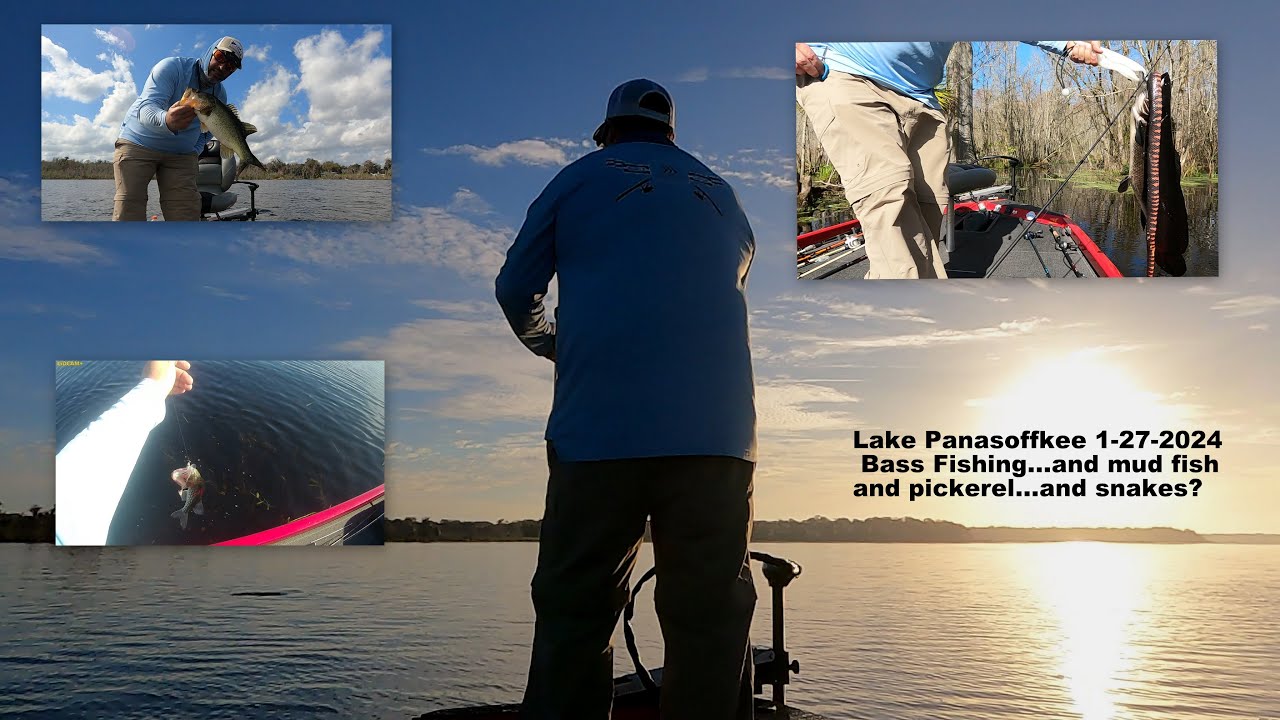 Bass Fishing   Lake Panasoffkee 1-27-2024