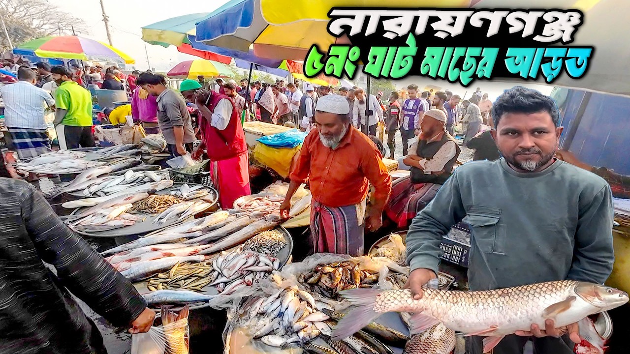 সব ধরনের মাছের দাম বাড়তি! কেন বাড়লো মাছের দাম? | নারায়ণগঞ্জ ৫নং ঘাট মাছের আড়তNarayanganj Fish Market