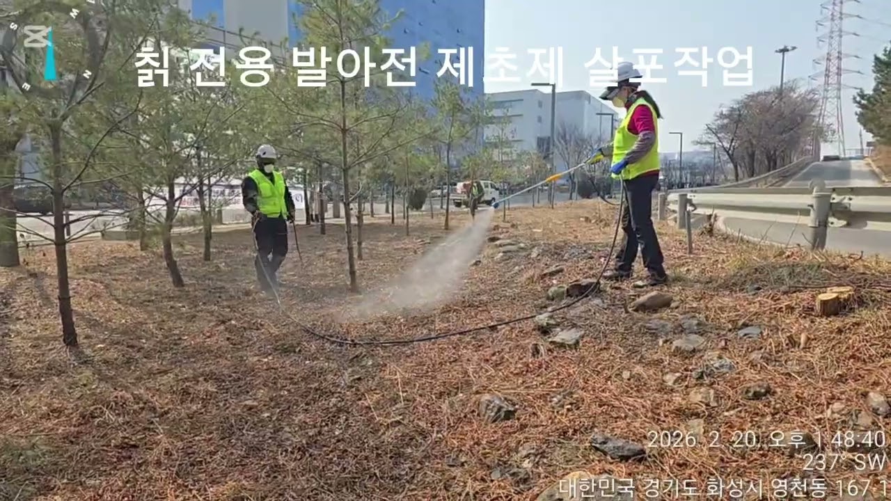 칡 전용 발아전 제초제 롱패스