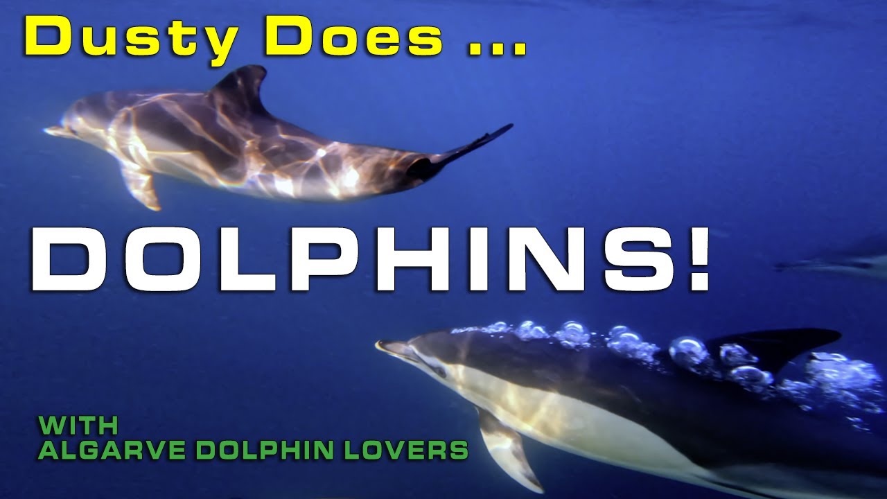 Dusty Does ... Dolphin Tours!