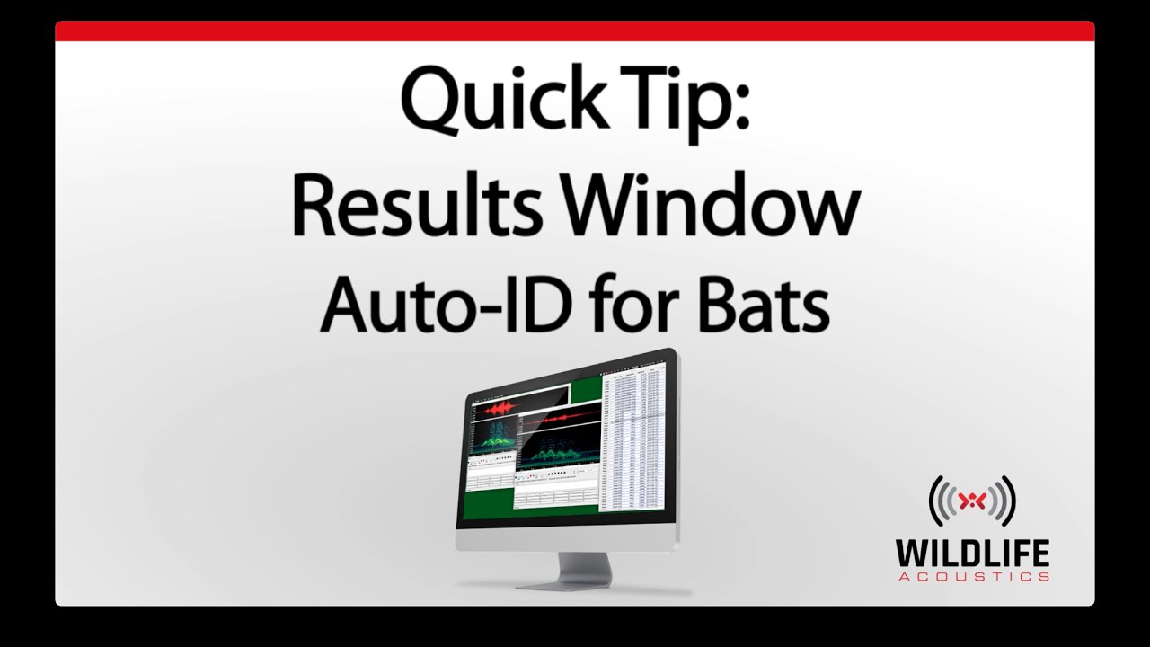 Kaleidoscope Pro Quick Tip: Auto-ID for Bats Results Window  | Record and Identify Bat Sounds
