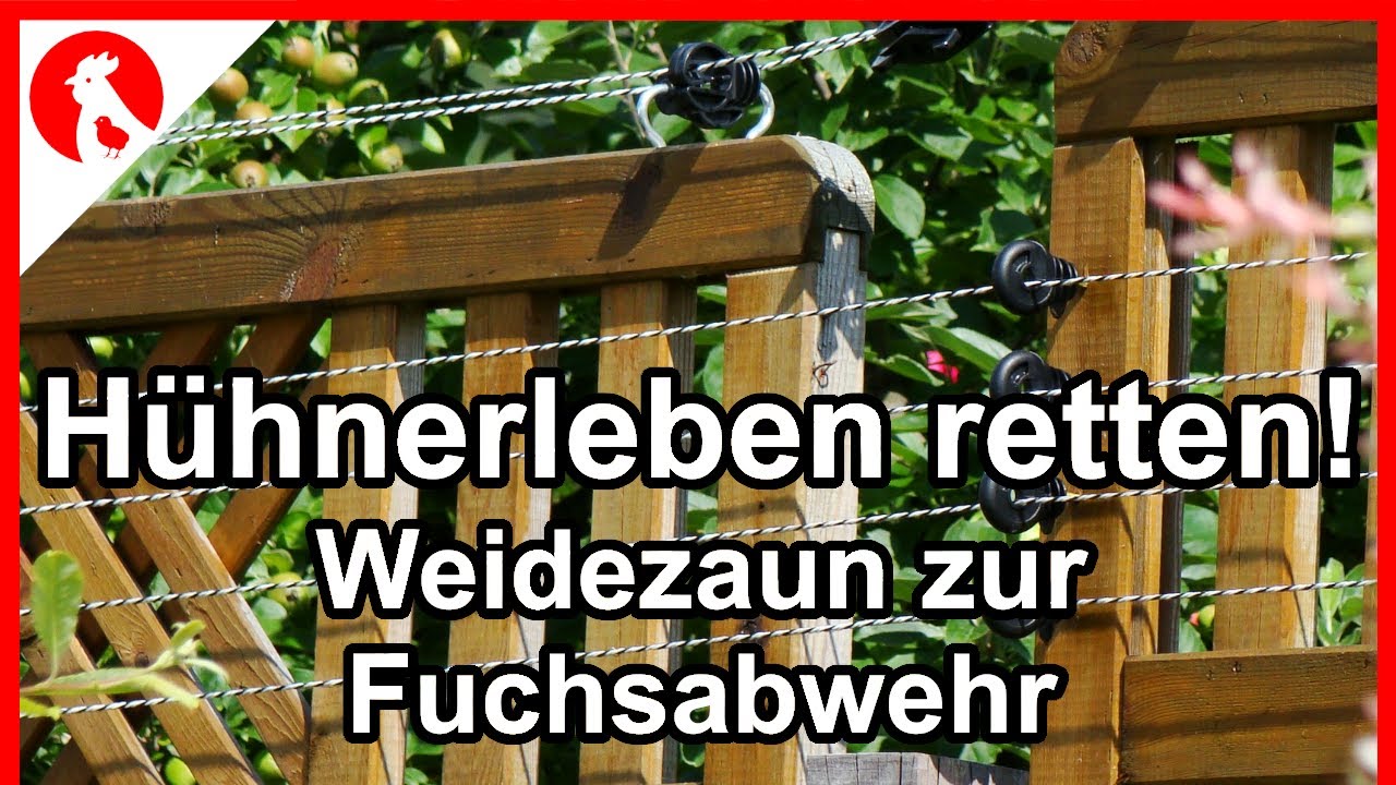 F183 Hühner sichern - Zaun unter Strom setzen ! Fuchsabwehr mit Weidezaungerät