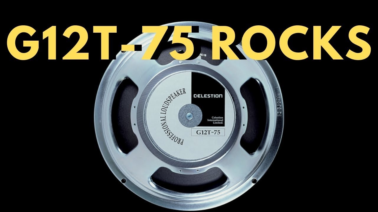 Celestion G12T-75 не отстой (Vintage Marshall JCM800 Cab)