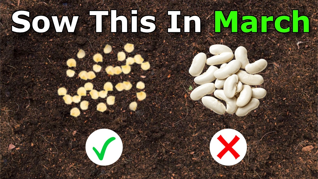 Plant These 11 Crops In March For An Abundant Harvest!
