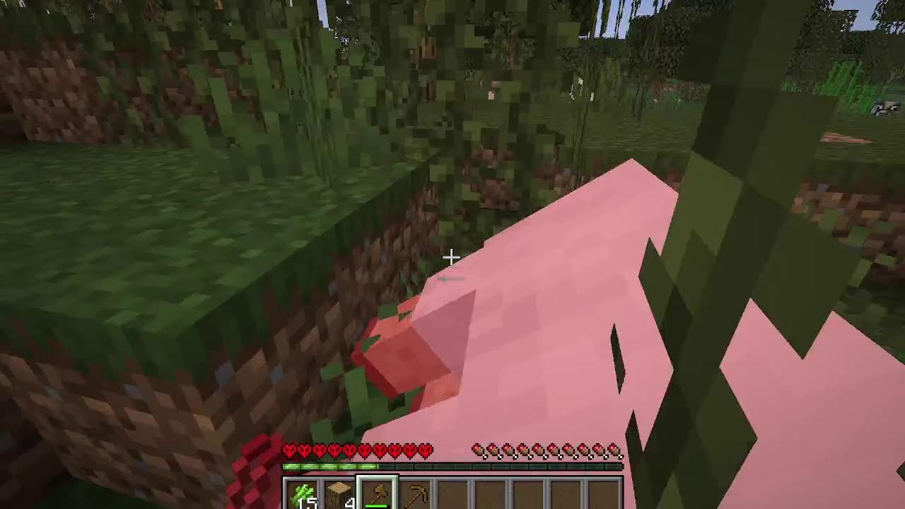 MINECRAFT santuy