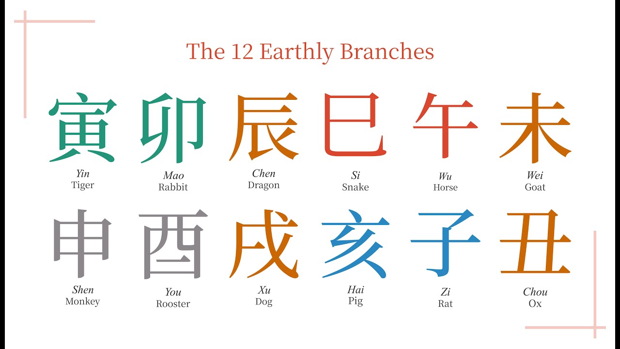 八字知識直播1：天干地支意象