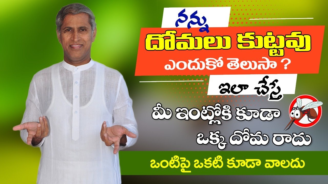 How to Prevent Mosquitoes in Home | Natural Mosquito Repellent | Mosquito | Manthena Health Tip