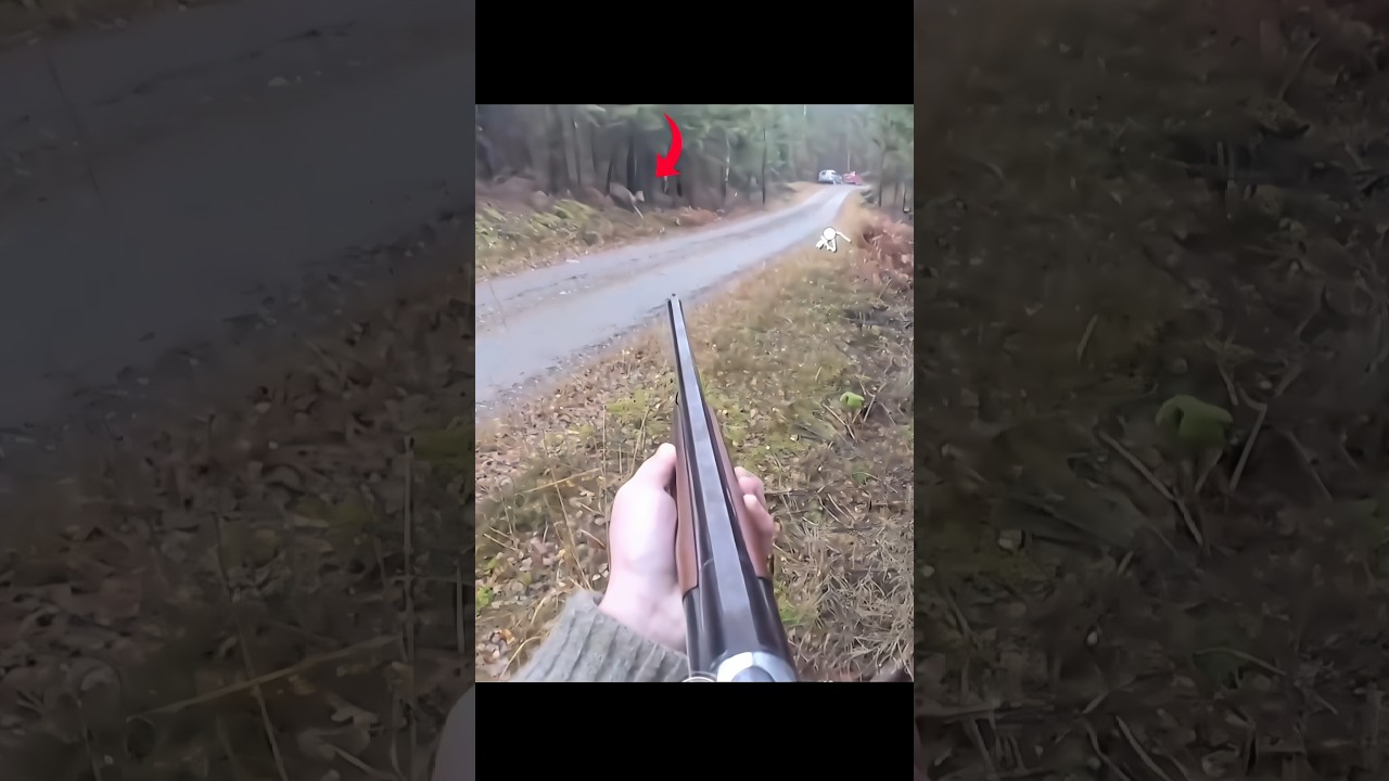 hunting beautiful whitetail deer #hunting #deer #chasse #moose #caccia #whitetailhunting