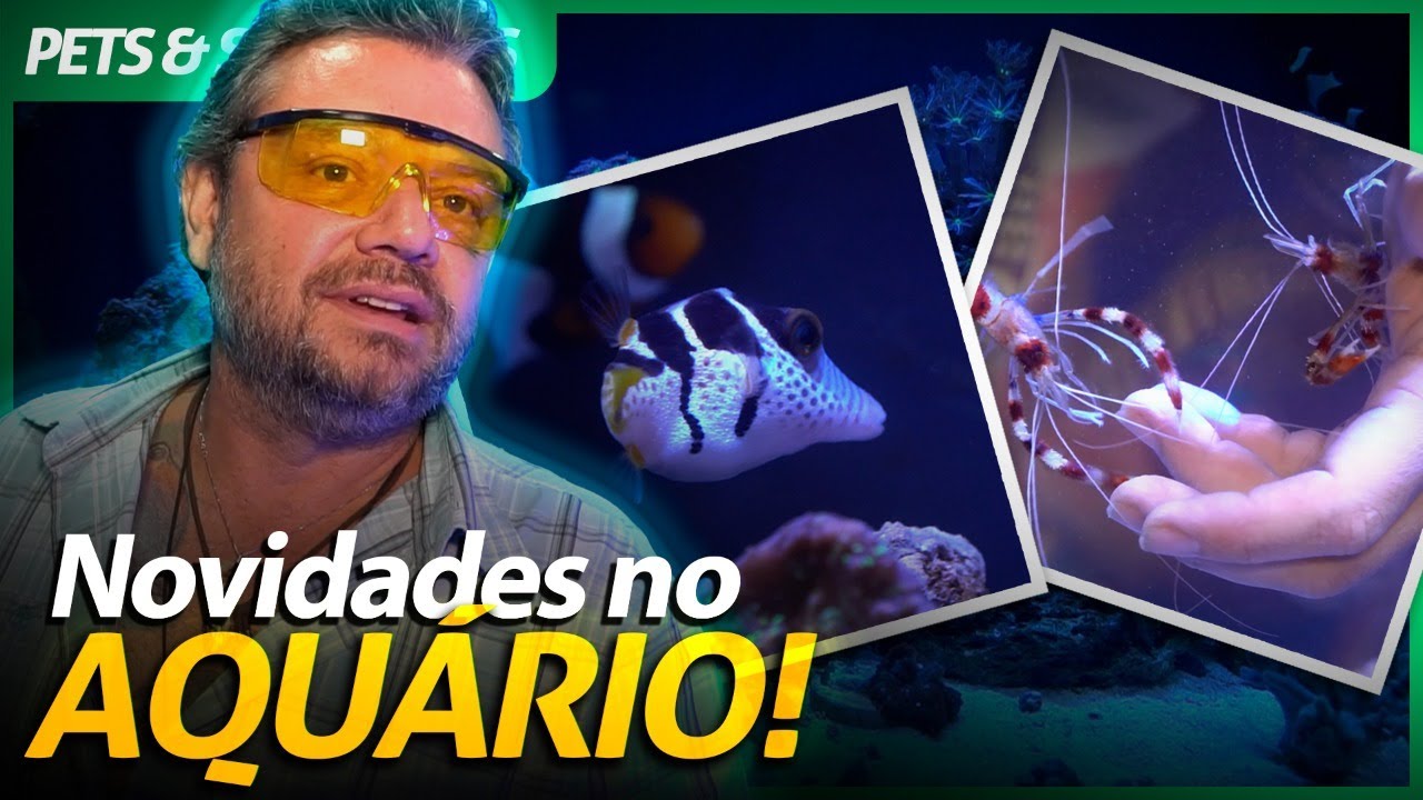 NOVIDADES NO MEU AQUÁRIO MARINHO! | RICHARD RASMUSSEN
