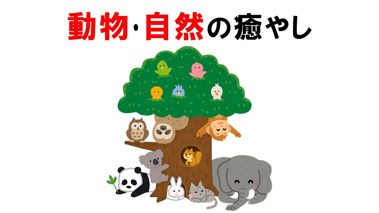 シロクマの毛は白くない？知的好奇心を刺激する動物の真実