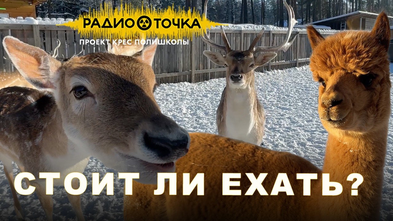 Три фермы с животными под Вильнюсом — честный обзор и впечатления