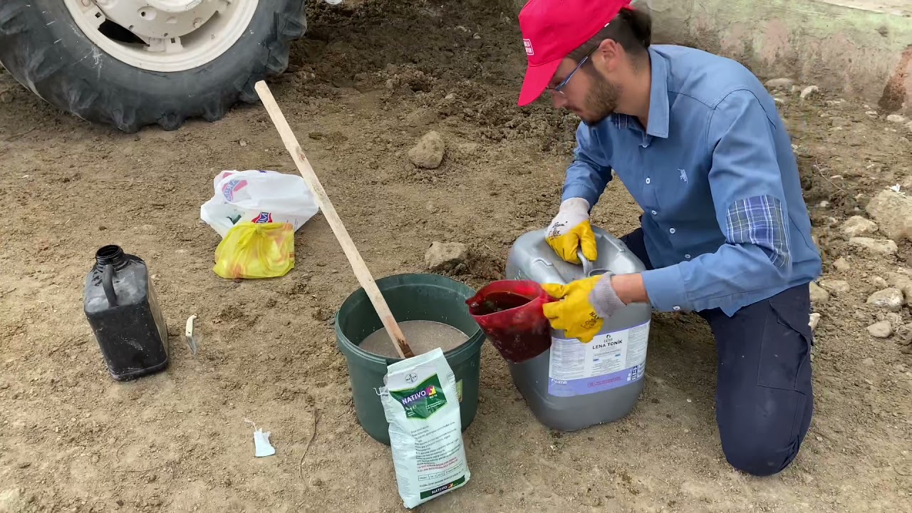 Nohut antraknoz ve sıvı gübre ilaçlaması (Nativo+orgamineral sıvı gübre)