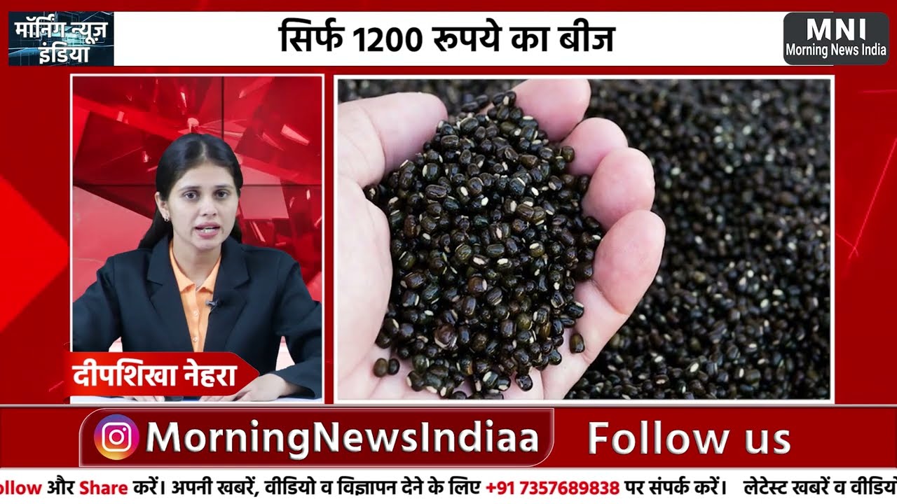 सिर्फ 1200 रुपए का बीज 