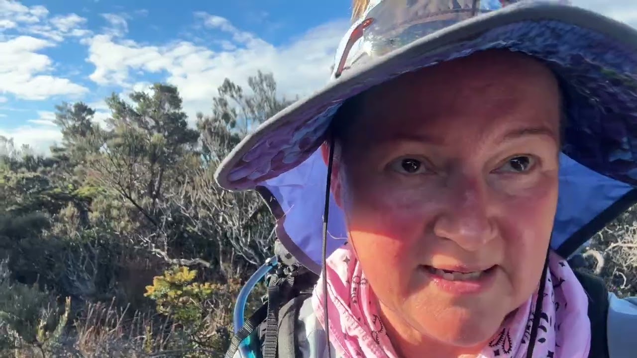 Hiking Australia’s Highest Sea Cliffs | Three Capes Track Jan 2026