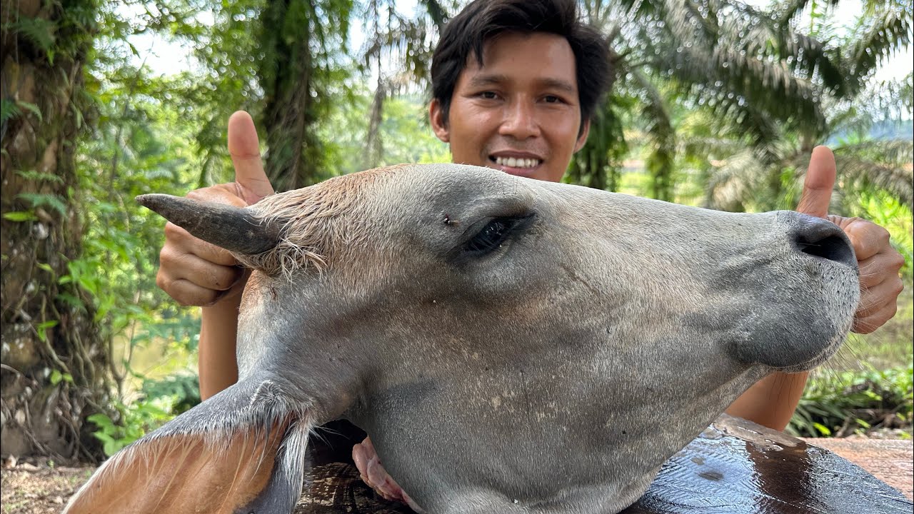 Masak kepala sapi utuh,auto mukbang bareng keluarga!!!!!!!!