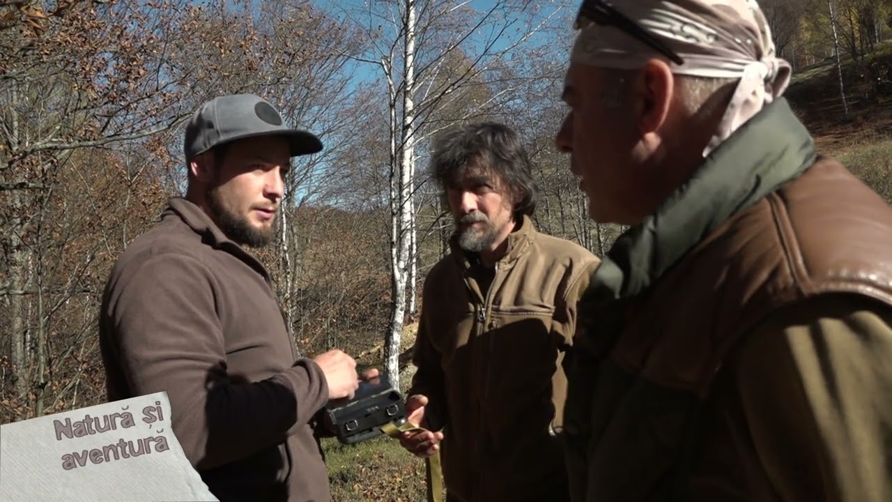 Natura si aventura: Călătorie în Parcul Natural Grădiştea Muncelului-Cioclovina, p.4