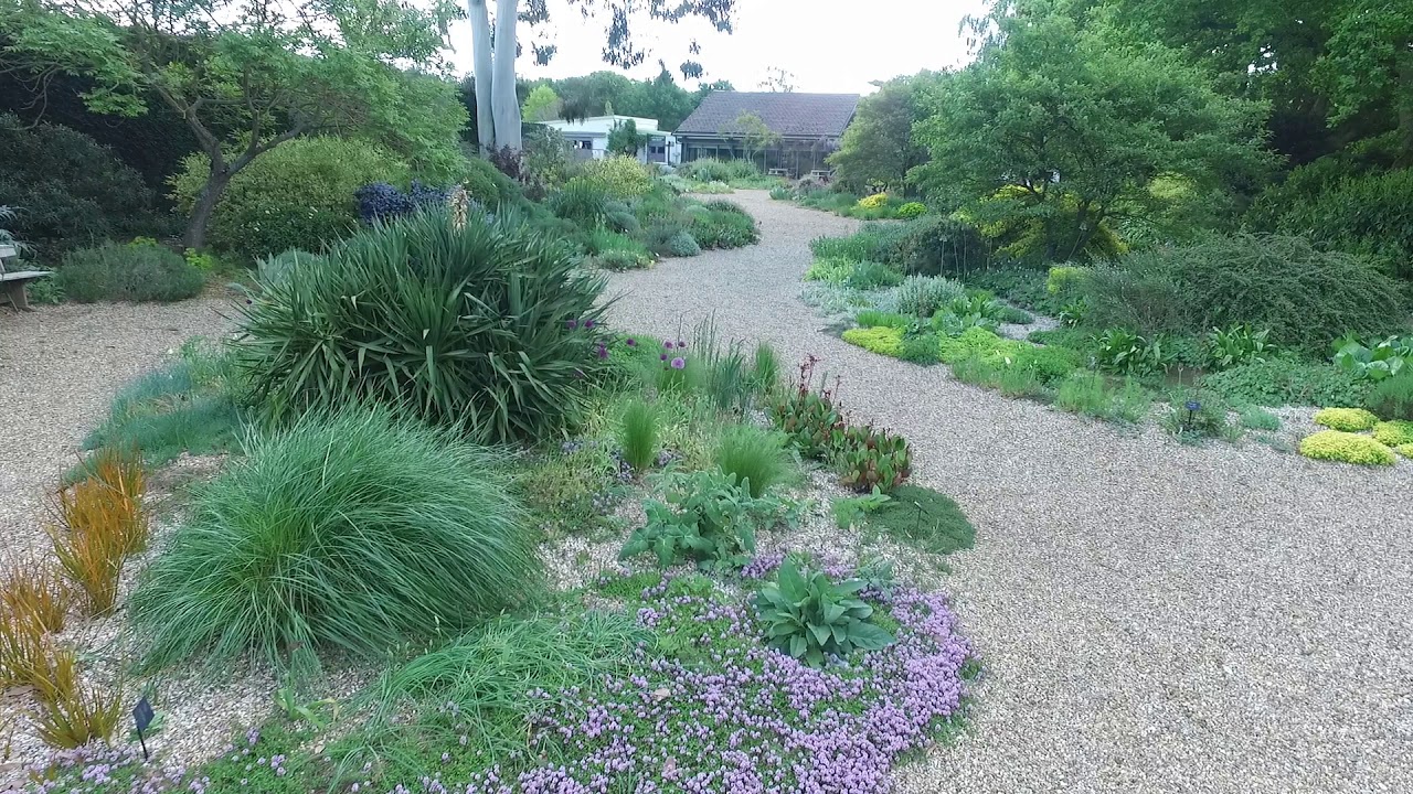 The Beth Chatto Gardens, Gravel Garden tour in May