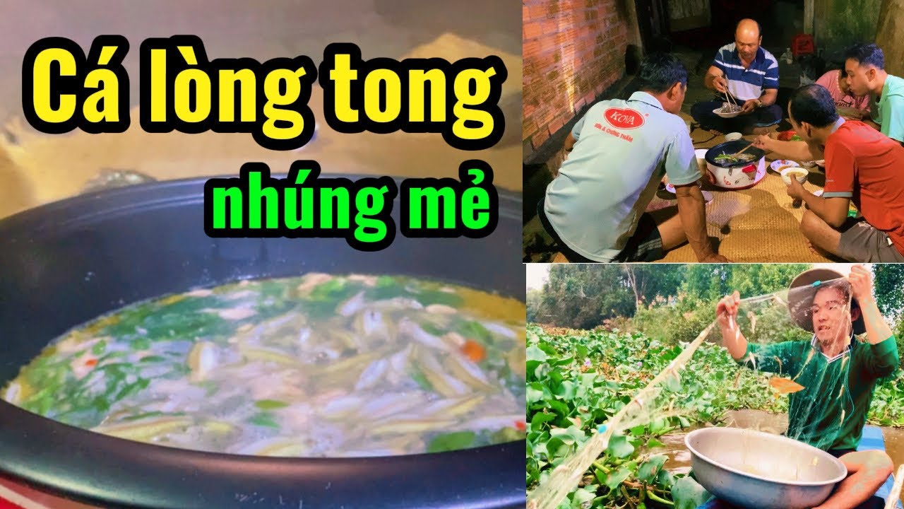 Soi Bắt Cá Lòng Tong Đầy Lưới | Nấu Nhúng Mẻ Ăn Cùng Gia Đình Miền Tây