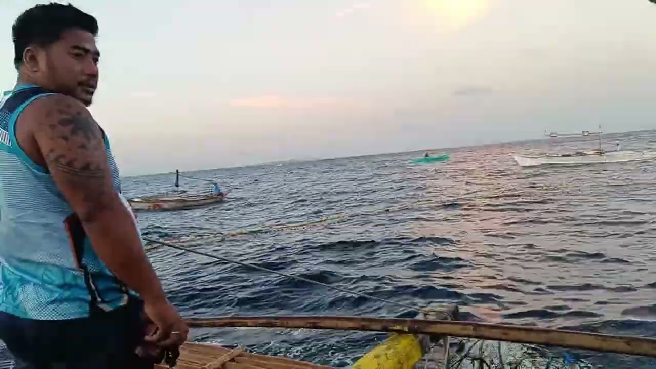 Fresh fish 